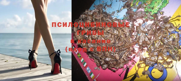 шишки Магас