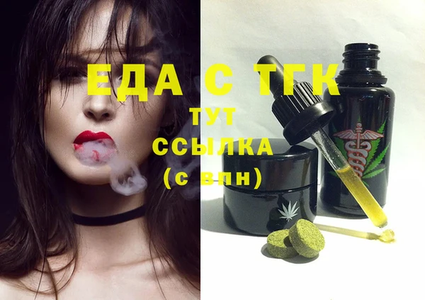 шишки Магас